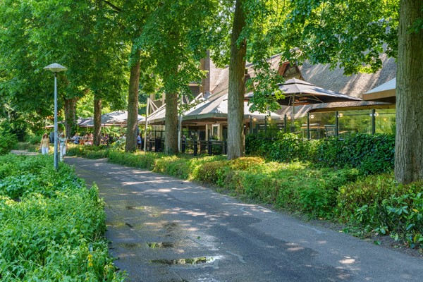 Medium property photo - Nachtegaalstraat 82D, 3581 AN Utrecht